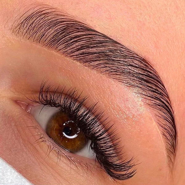 Beaute du regard