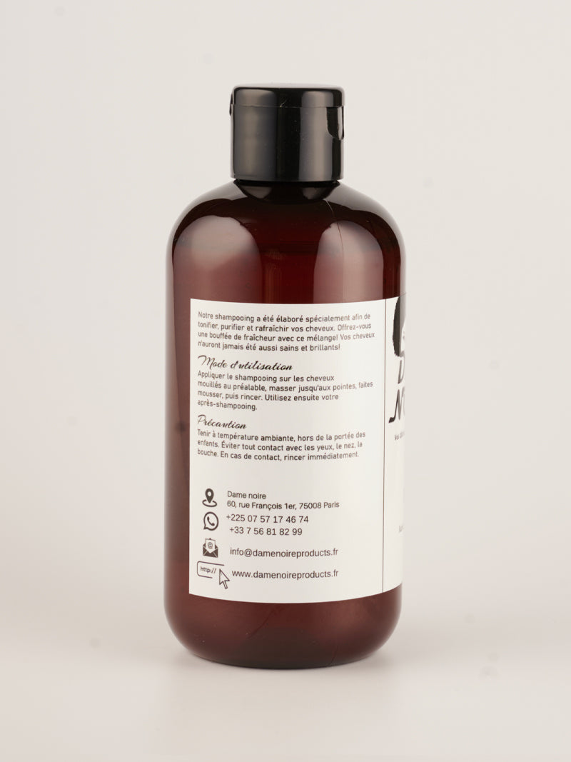 Shampooing Byintou